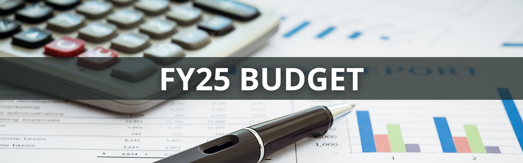 Banner link to the FY25 Budget project page