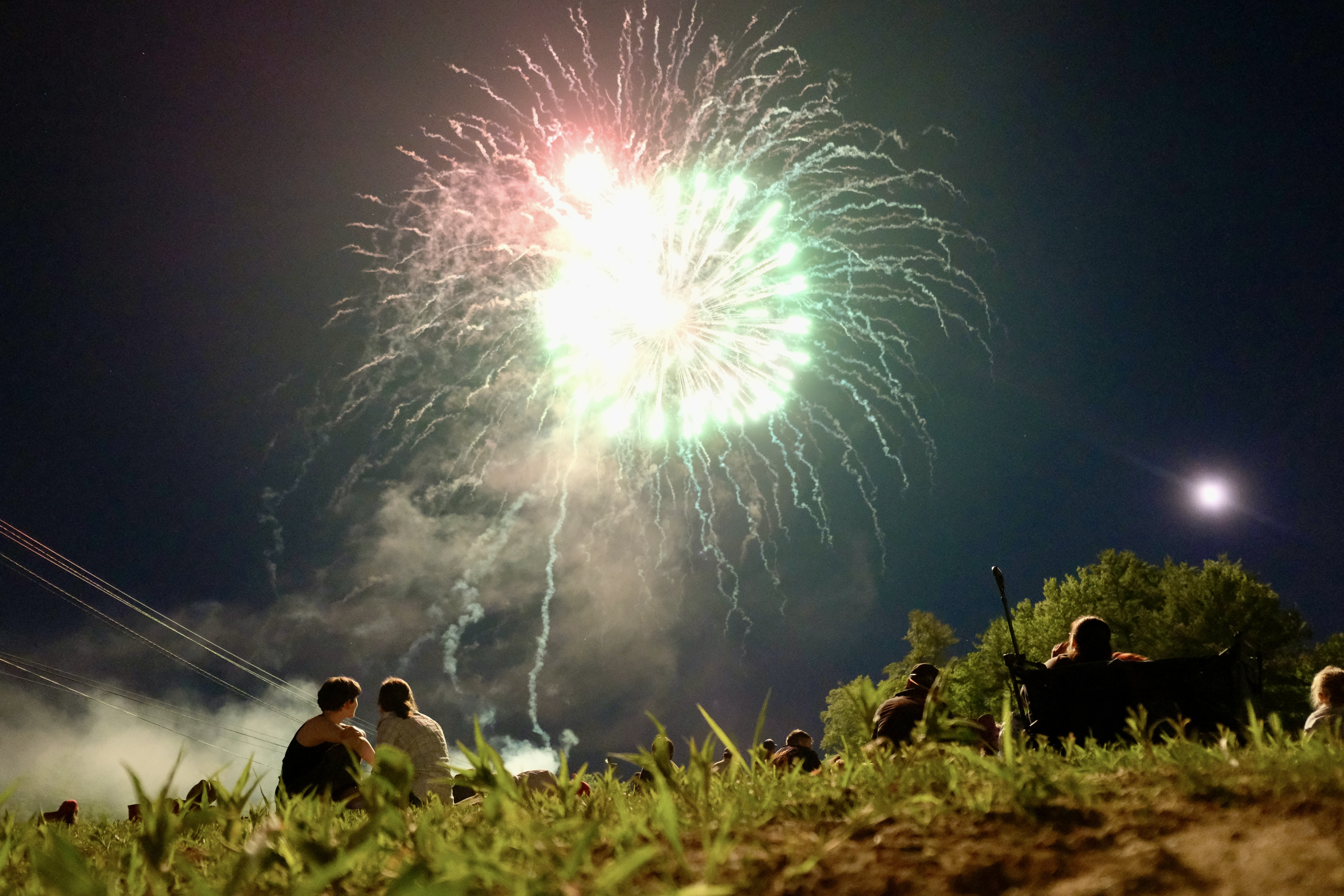 Fireworks light up the sky above Living Memorial Park as a crowd looks on from a grassy field.
