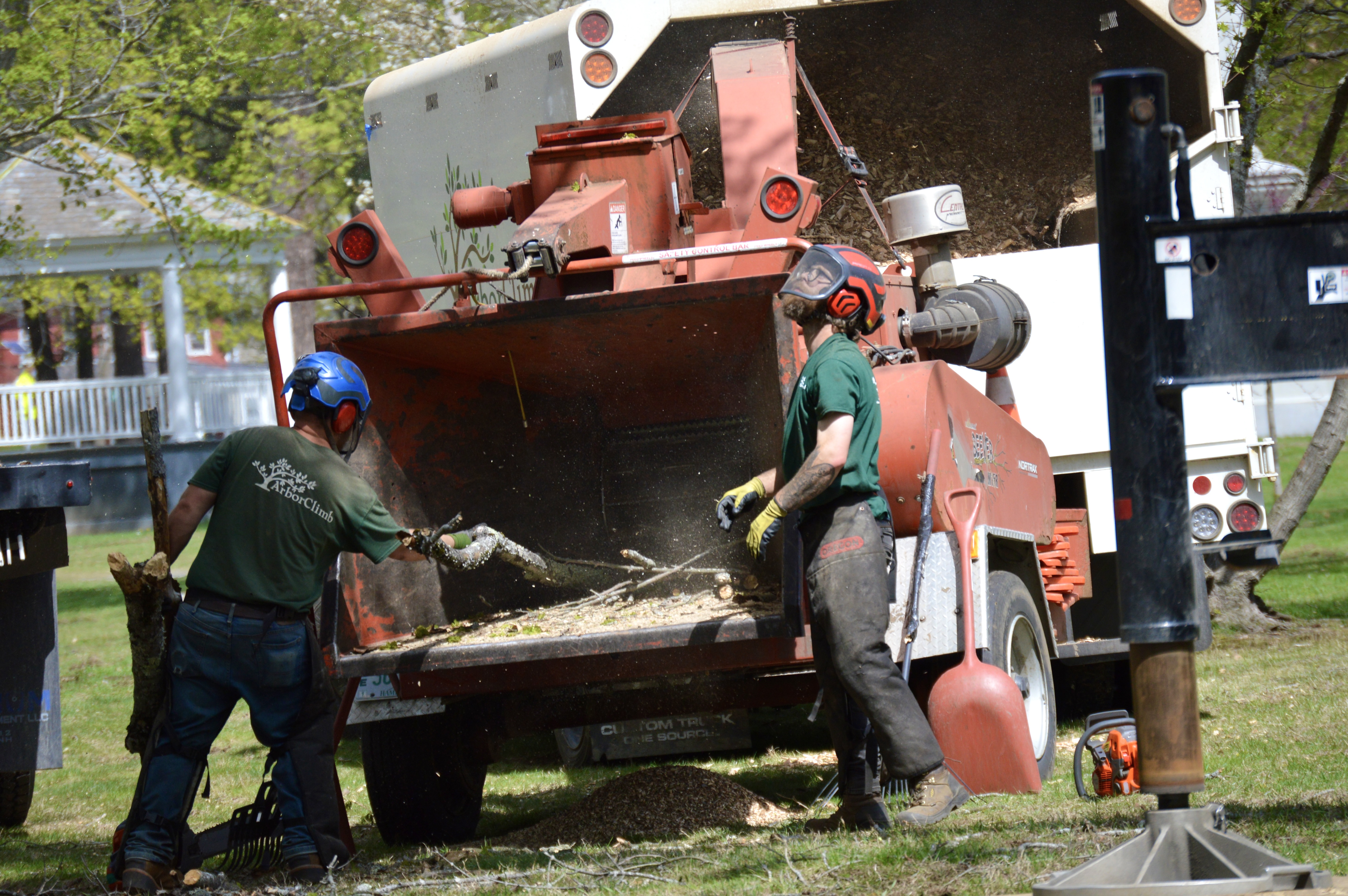A photo of two arborists processing tree limbs in a wood chipper in the Brattleboro Common.