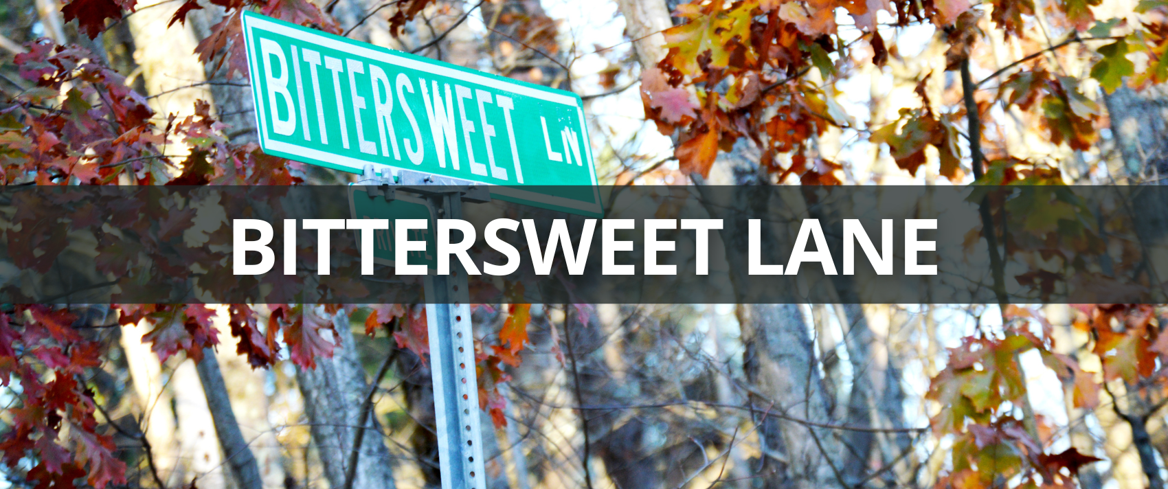 A banner link to the Bittersweet Lane project page.